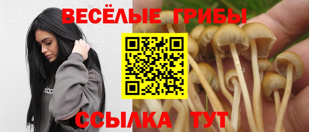 Галлюциногенные грибы ЛСД Кинель