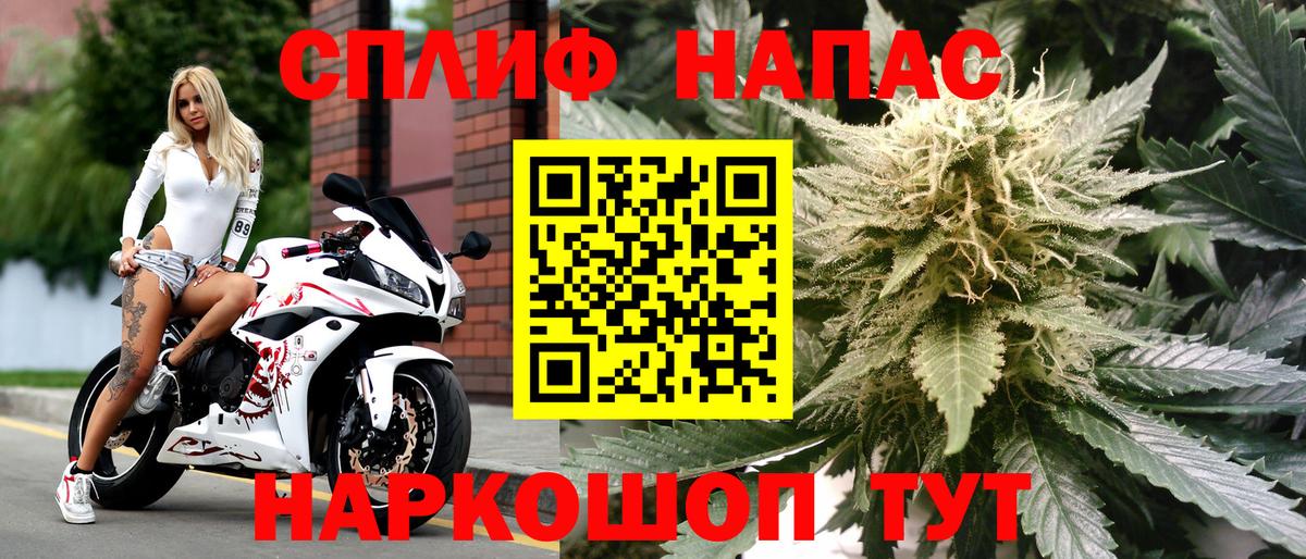 Бошки Шишки MAZAR  Вход с VPN  Кинель  Бошки Шишки гибрид  Канабис планчик 